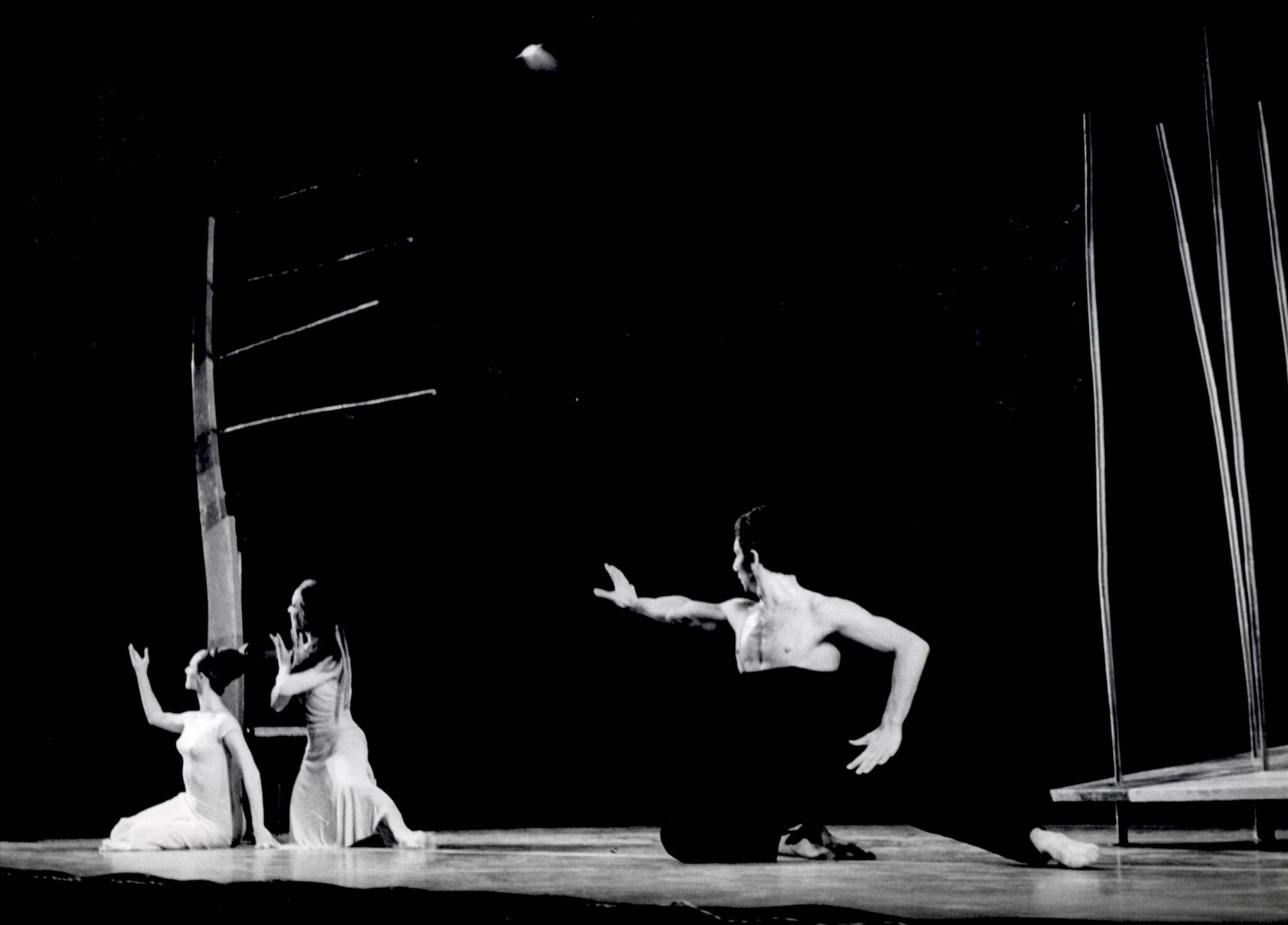 הגן אחוז המלחמה משה אפרתי, גליה גת ורנה שינפלד. צלם לא ידוע