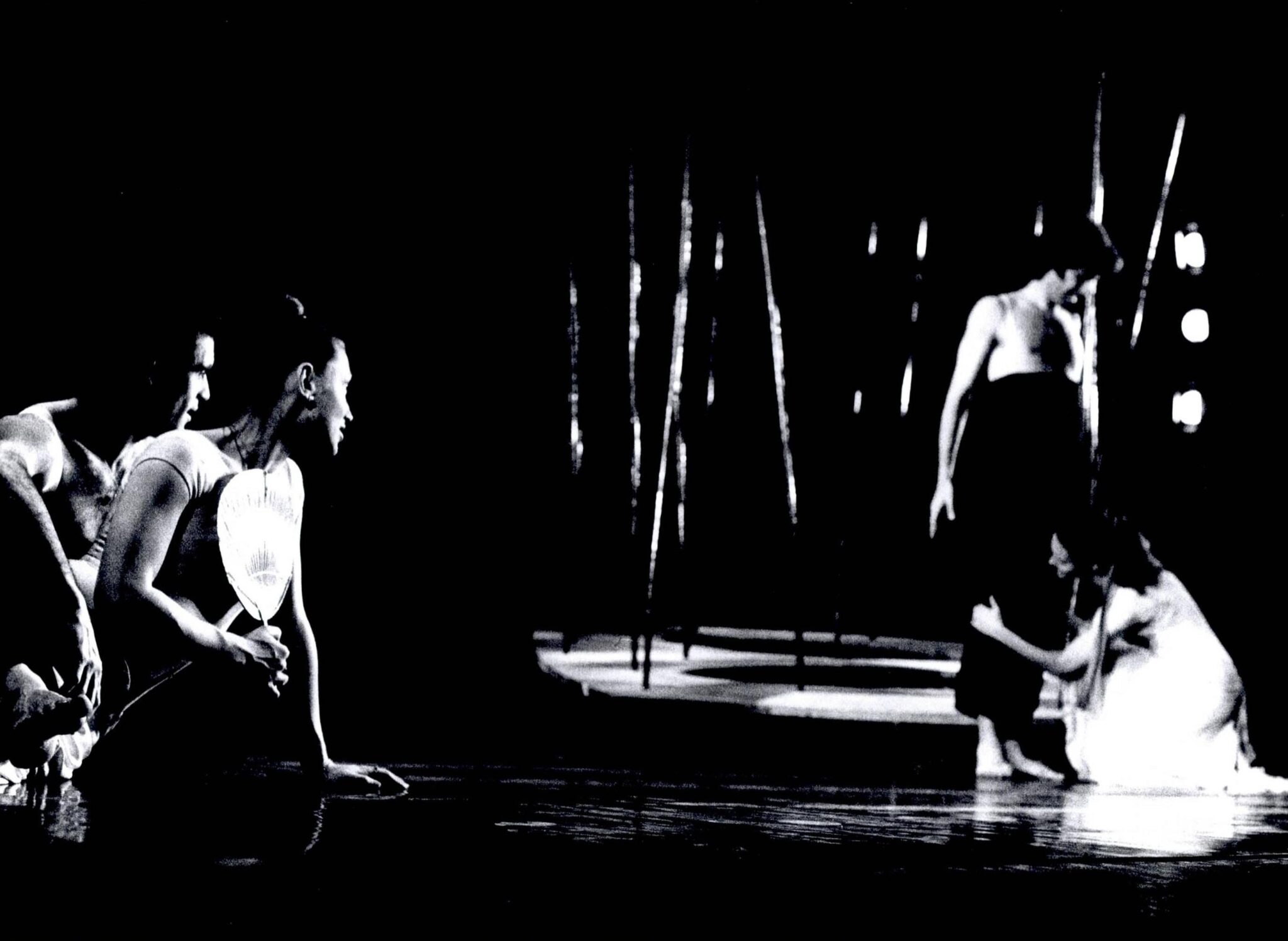 הגן אחוז המלחמה צילום: יעקב אגור