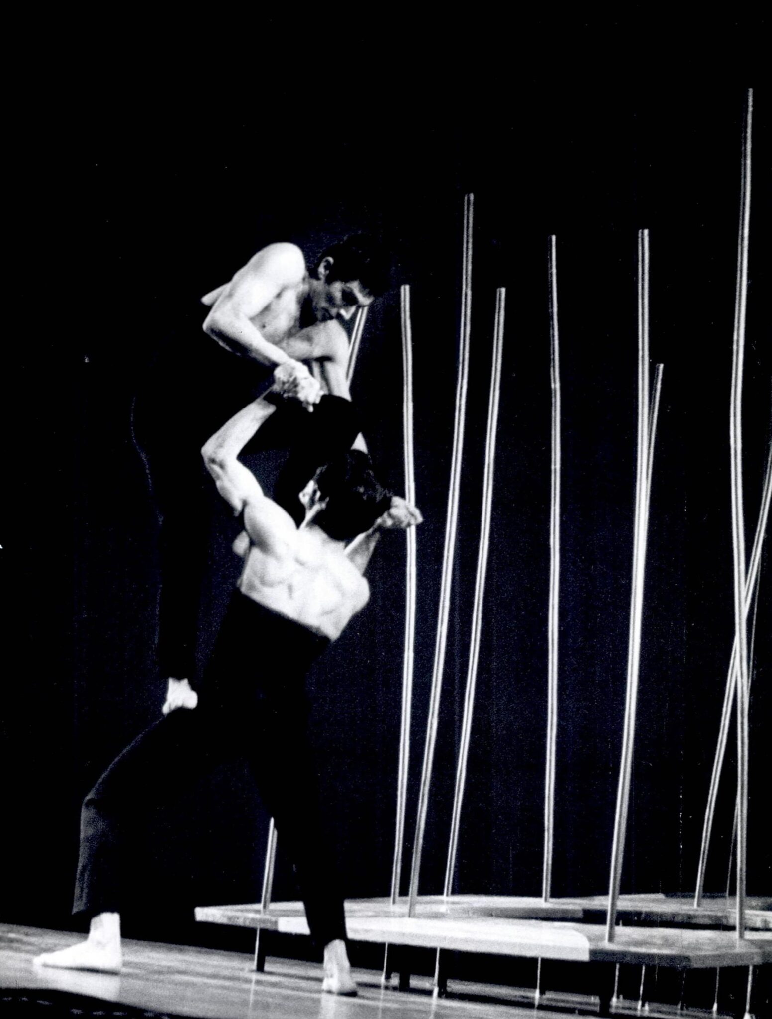 הגן אחוז המלחמה צילום: יעקב אגור