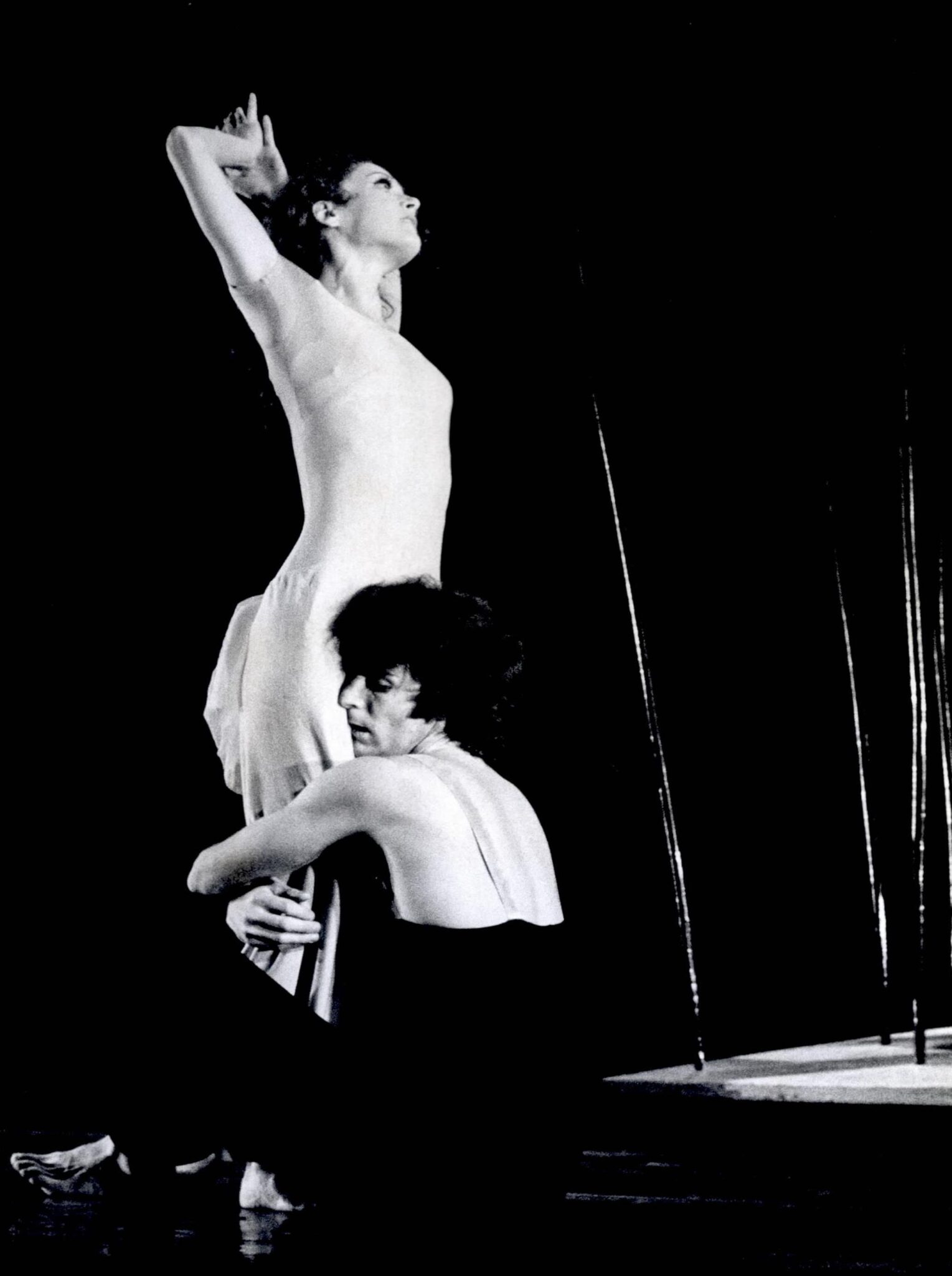 הגן אחוז המלחמה צילום: יעקב אגור