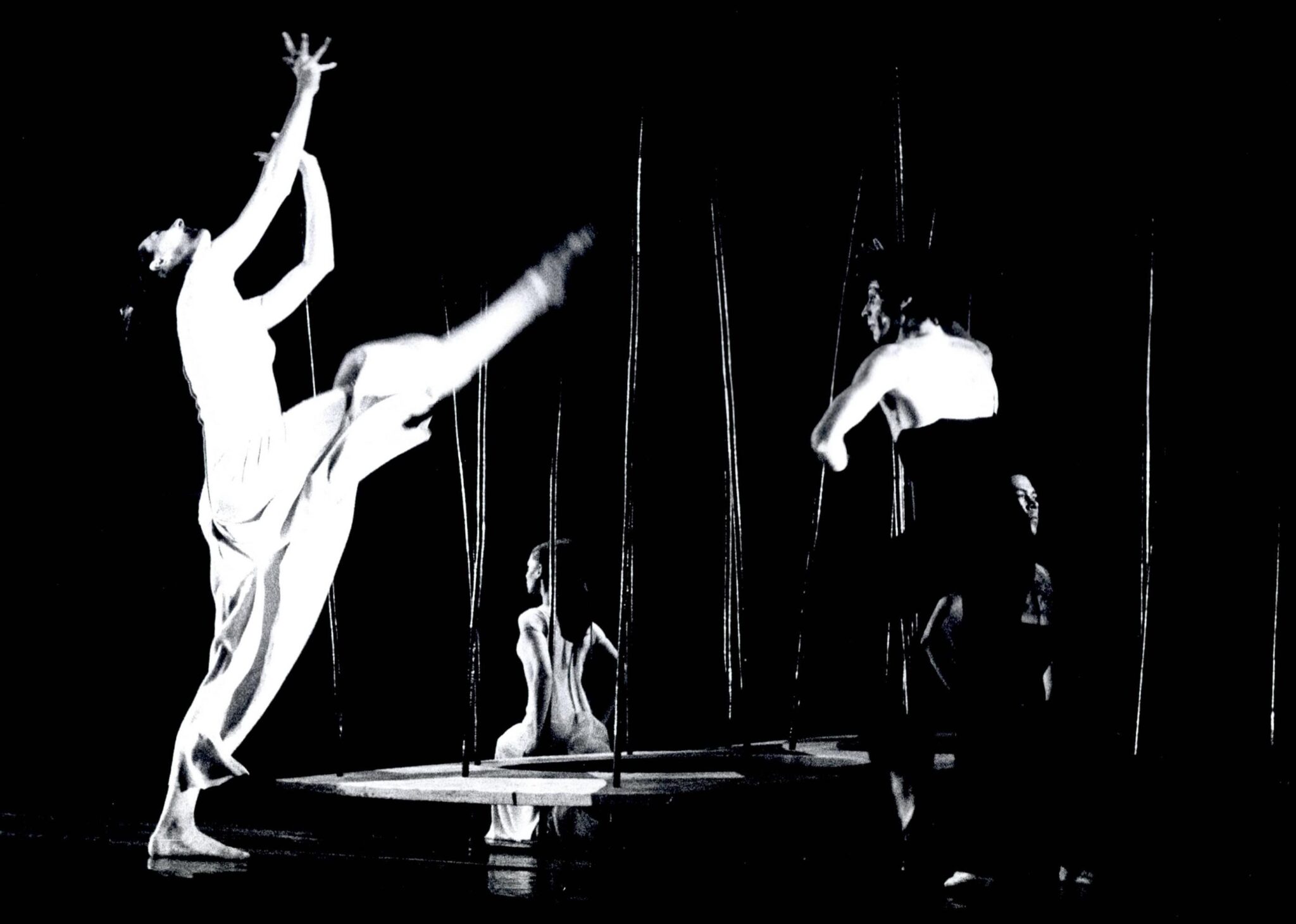 הגן אחוז המלחמה צילום: יעקב אגור