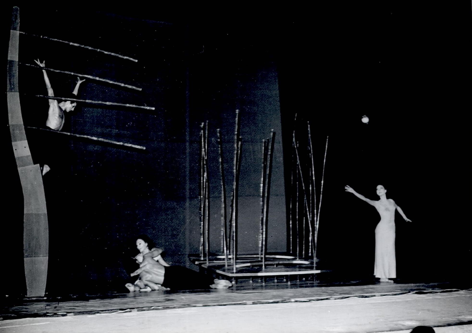 הגן אחוז המלחמה צילום: פוטו אריה