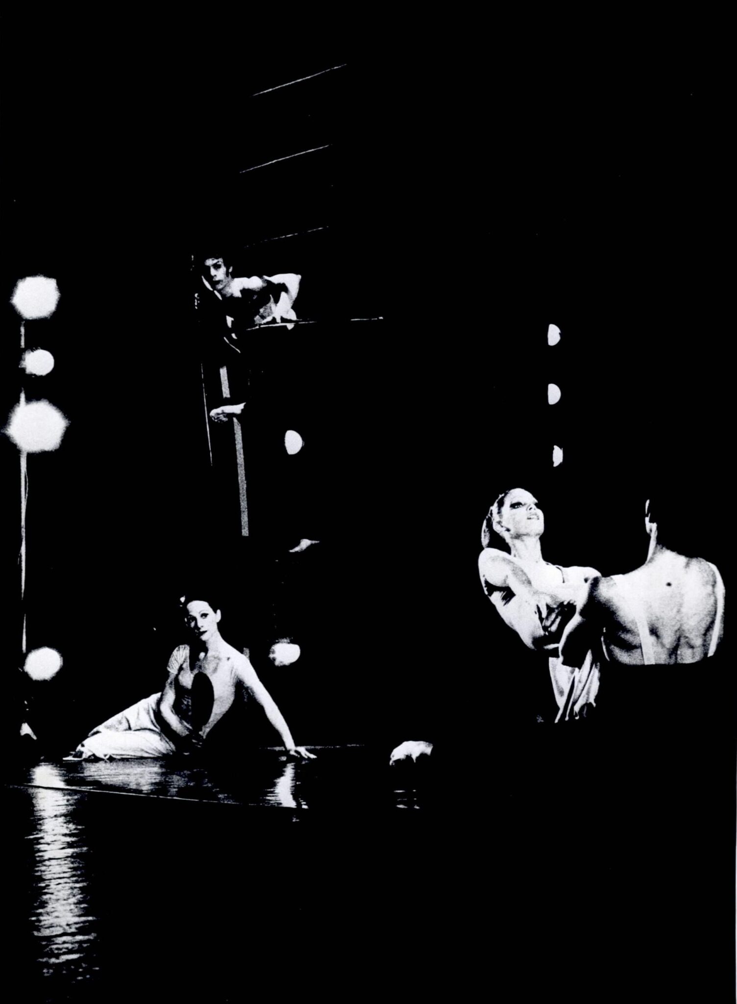 הגן אחוז המלחמה צלם לא ידוע