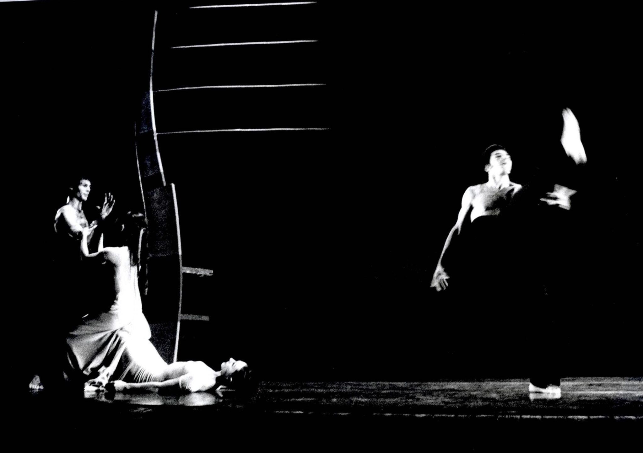 הגן אחוז המלחמה צילום: יעקב אגור