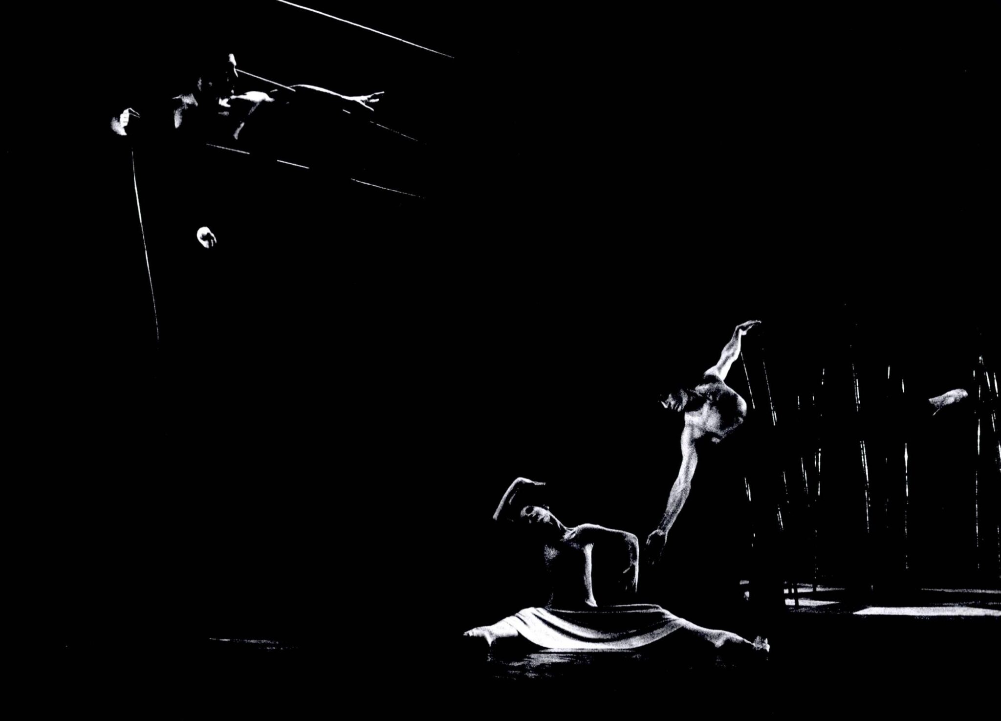 הגן אחוז המלחמה צילום: יעקב אגור