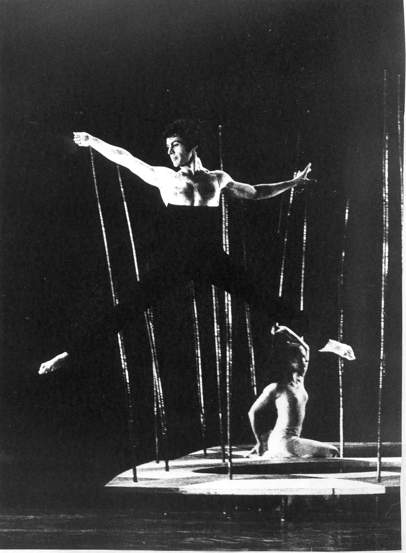 הגן אחוז המלחמה צלם לא ידוע