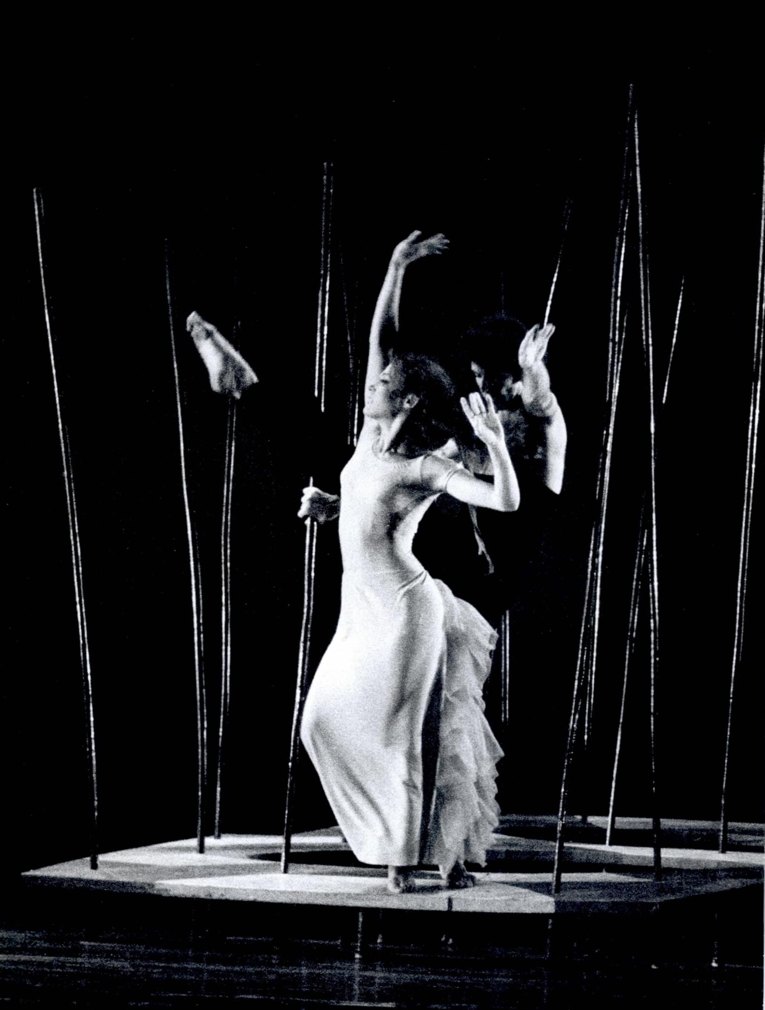 הגן אחוז המלחמה פמלה שרני. צילום: יעקב אגור