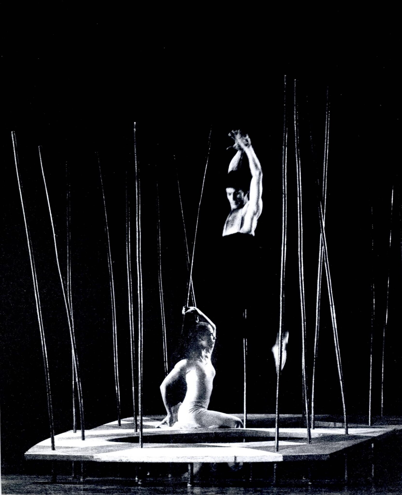 הגן אחוז המלחמה אסתר נדלר. צילום: יעקב אגור