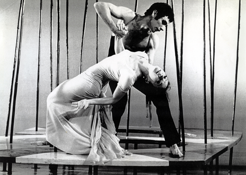 הגן אחוז המלחמה גליה גת, משה אפרתי. צילום: מולה עשת