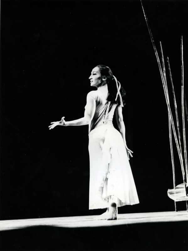 הגן אחוז המלחמה גליה גת. צילום: יעקב אגור