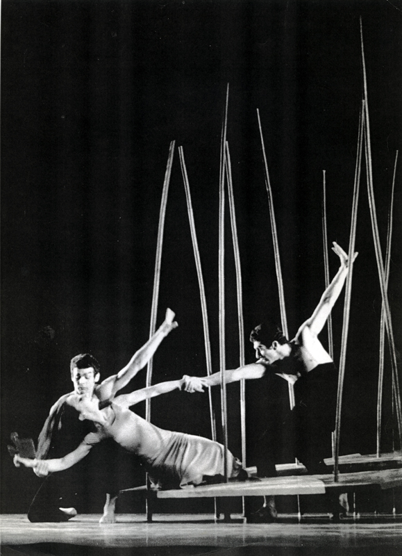 הגן אחוז המלחמה צלם לא ידוע