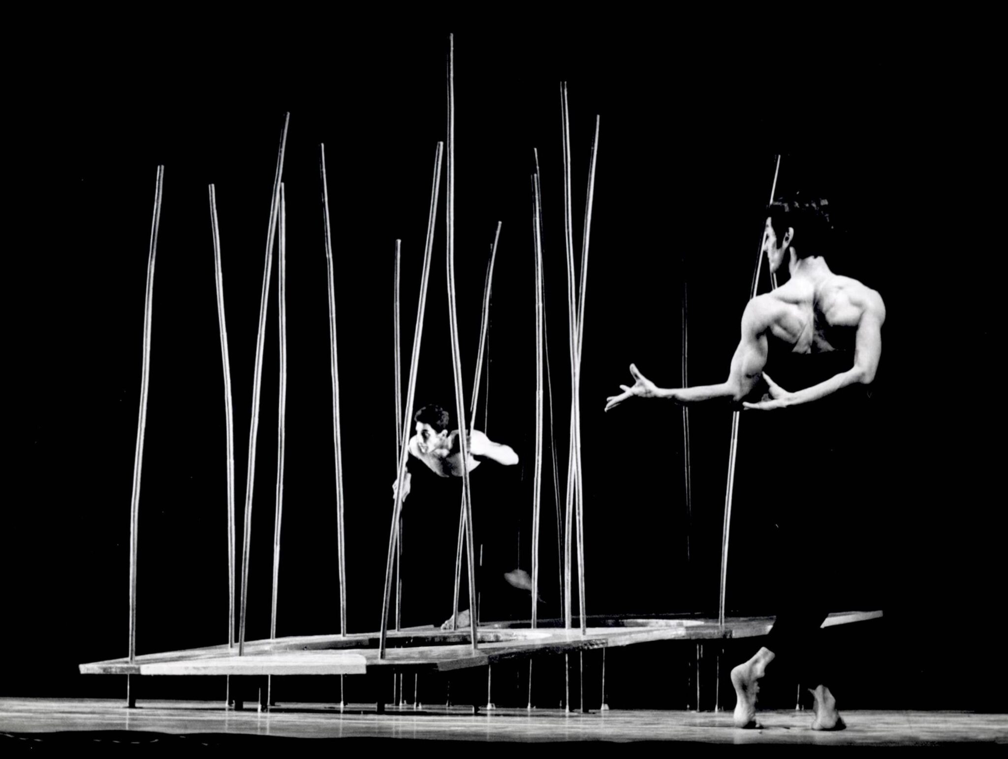 הגן אחוז המלחמה אהוד בן דוד ומשה אפרתי. צלם לא ידוע