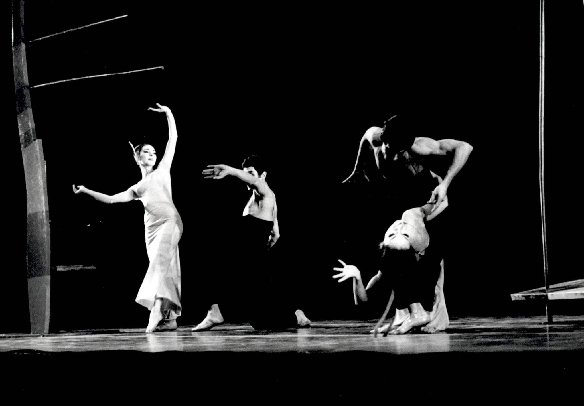 הגן אחוז המלחמה צילום: יעקב אגור