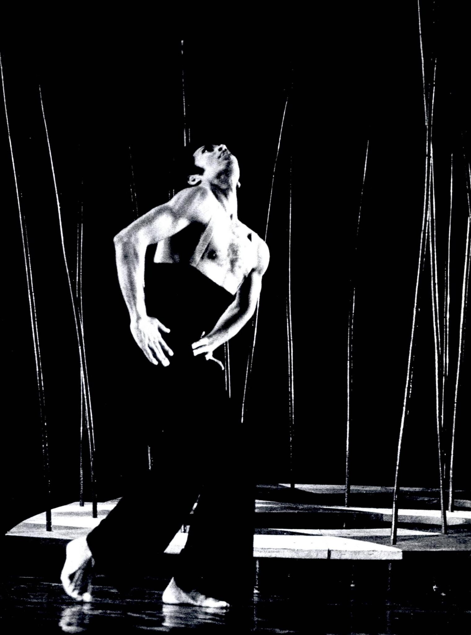 הגן אחוז המלחמה צילום: יעקב אגור