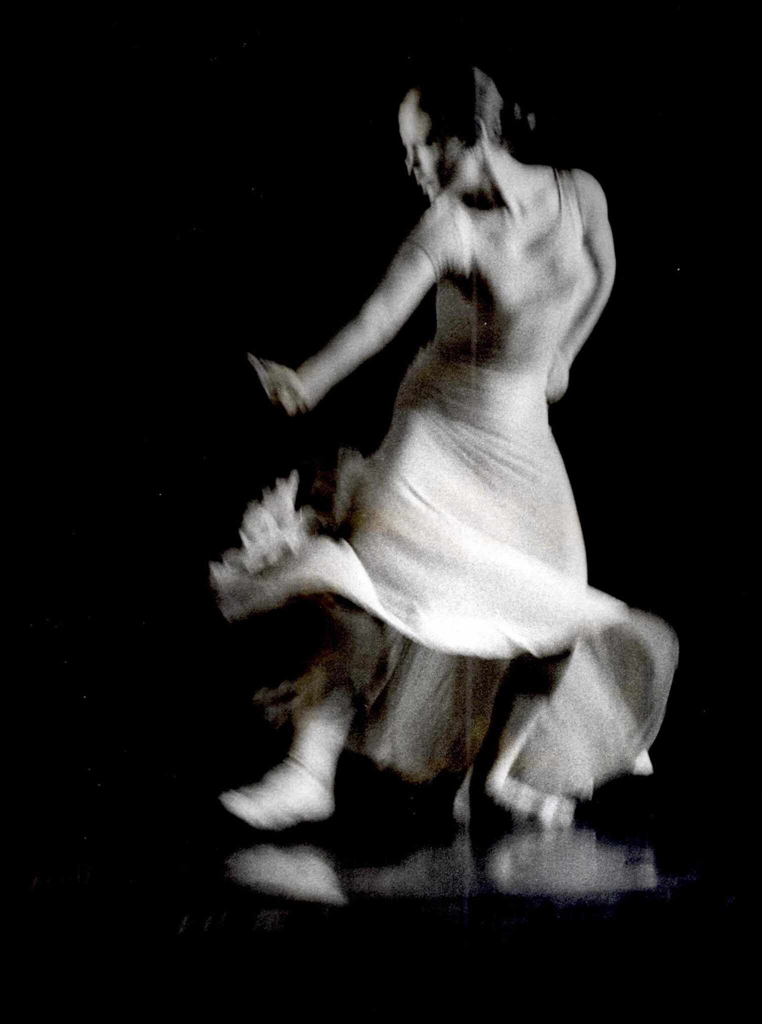 הגן אחוז המלחמה אסתר נדלר. צילום: יעקב אגור