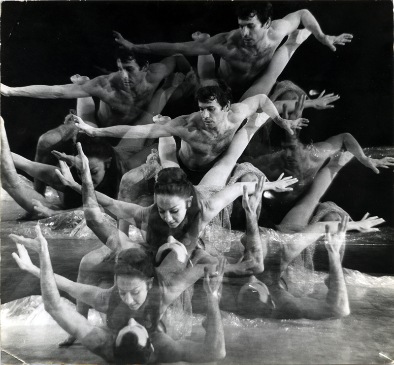 1-2-3 גליה גת, אהוד בן דוד, גדעון אברהמי
 - צילום: מולה עשת