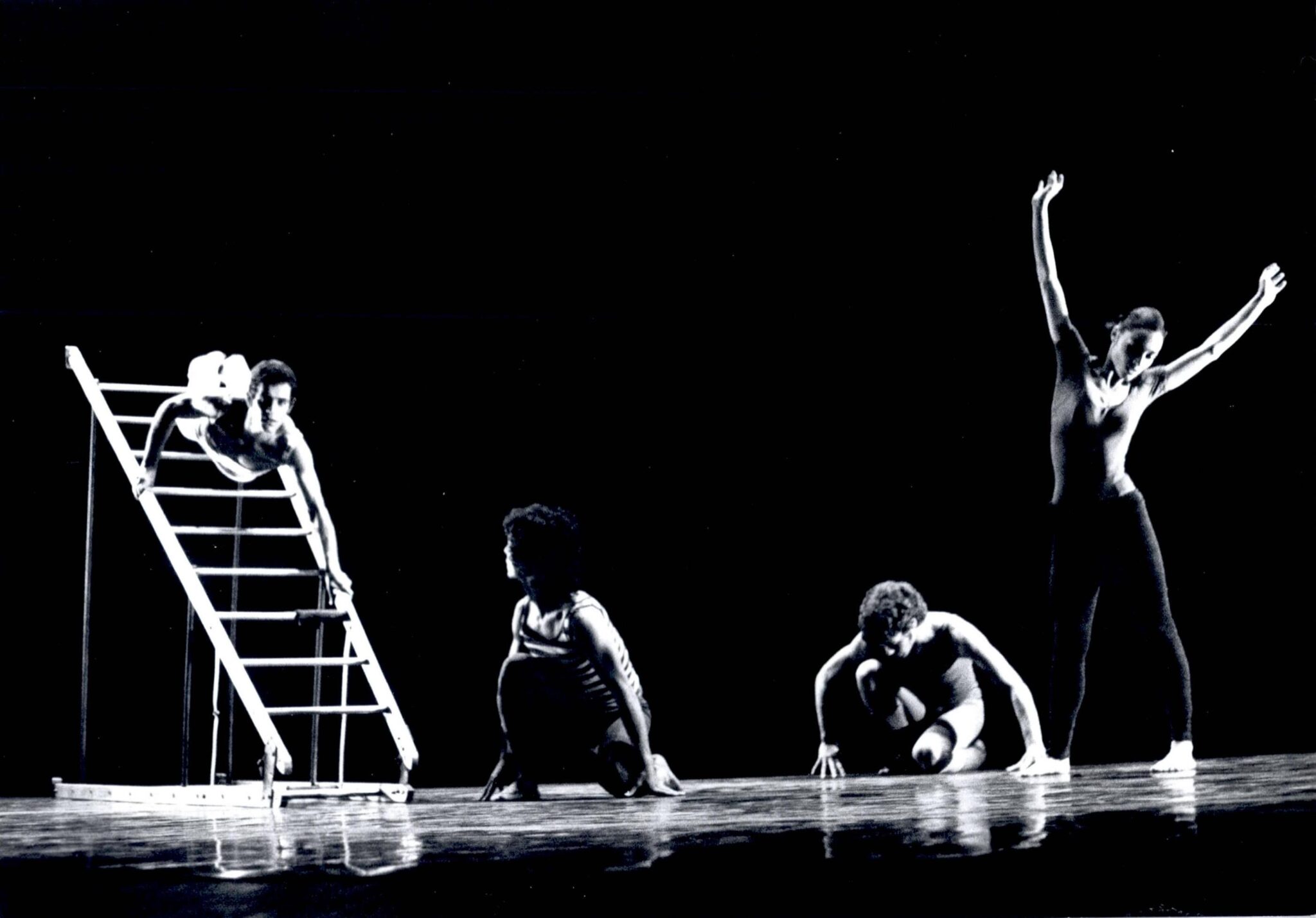 חזרה!… (?) מימין: נורית שטרן - צילום: יעקב אגור