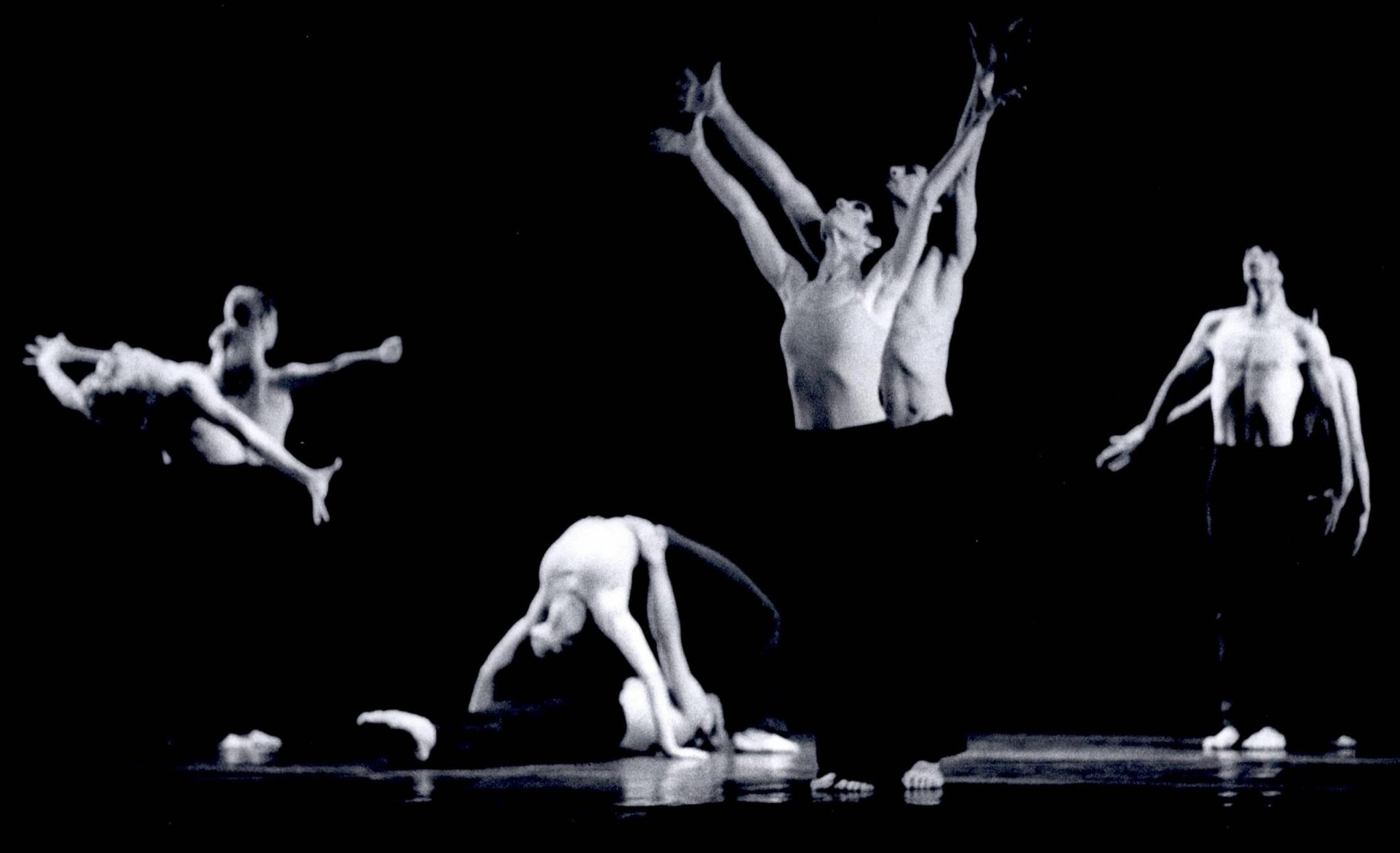 יעקב אגור - צילום: יעקב אגור