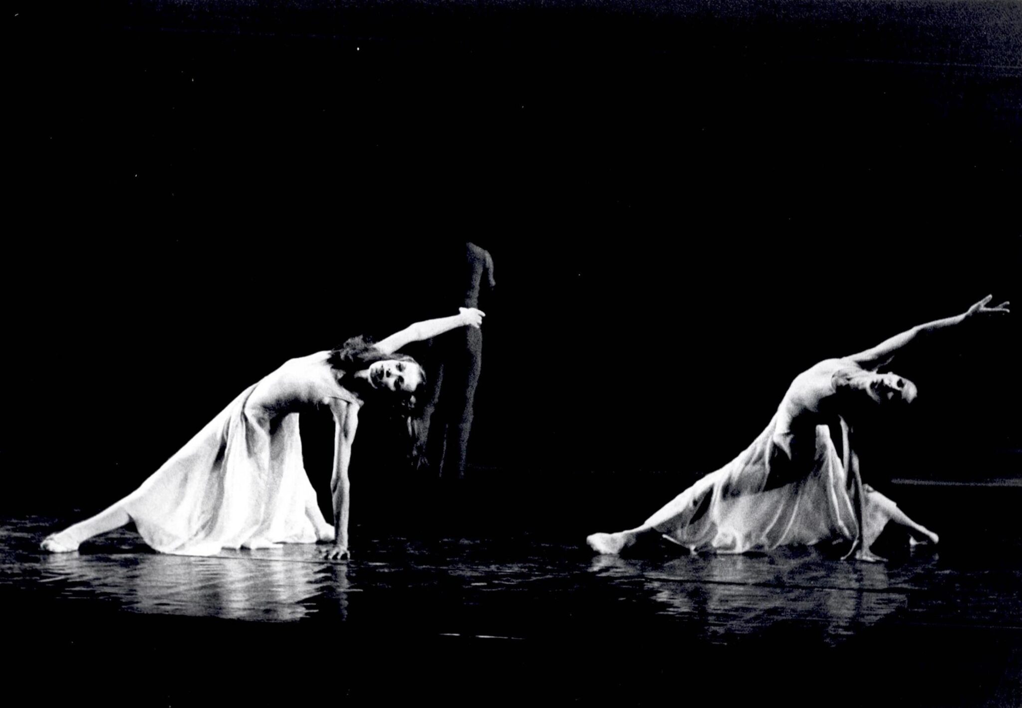 מרגלית רובין דליה דביר, מרגלית רובין - צילום: יעקב אגור