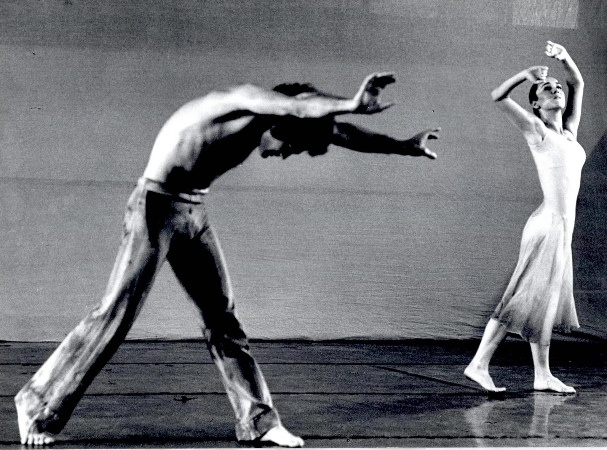 קשת סביב שכמי צבי גוטהיינר, רחמים רון - צילום: יעקב אגור