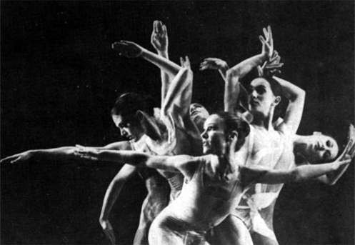 Wilderness Swamps & Forest