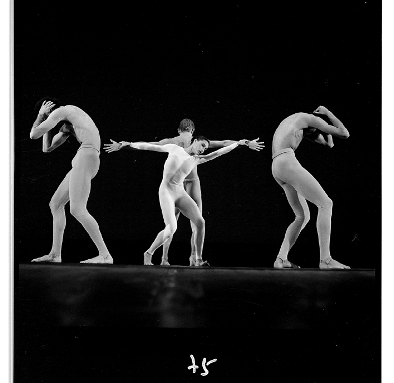 עמי-ים, עמי-יער במרכז: נורית שטרן - שם הצלם ובעל האוסף: מולה עשת
מתוך: אתר תמונות היסטוריות של ארץ ישראל, ספריית יונס וסוריאה נזראין, אוניברסיטת חיפה