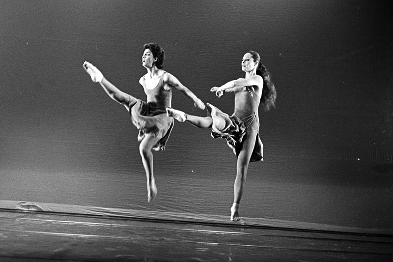 דיוקן לשניים - צילום: יורם רובין