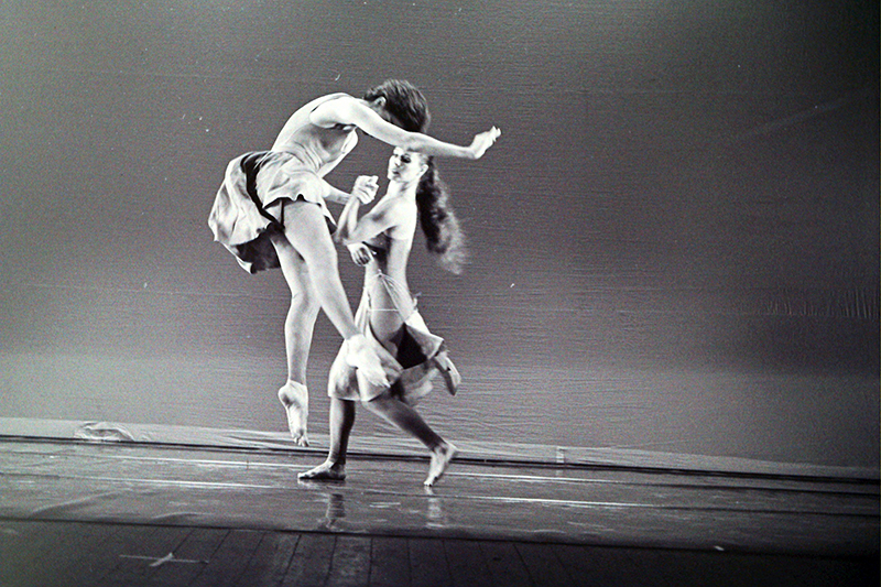 דיוקן לשניים - צילום: יורם רובין