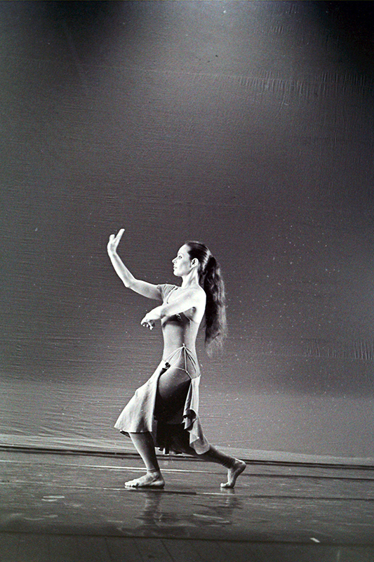 דיוקן לשניים - צילום: יורם רובין