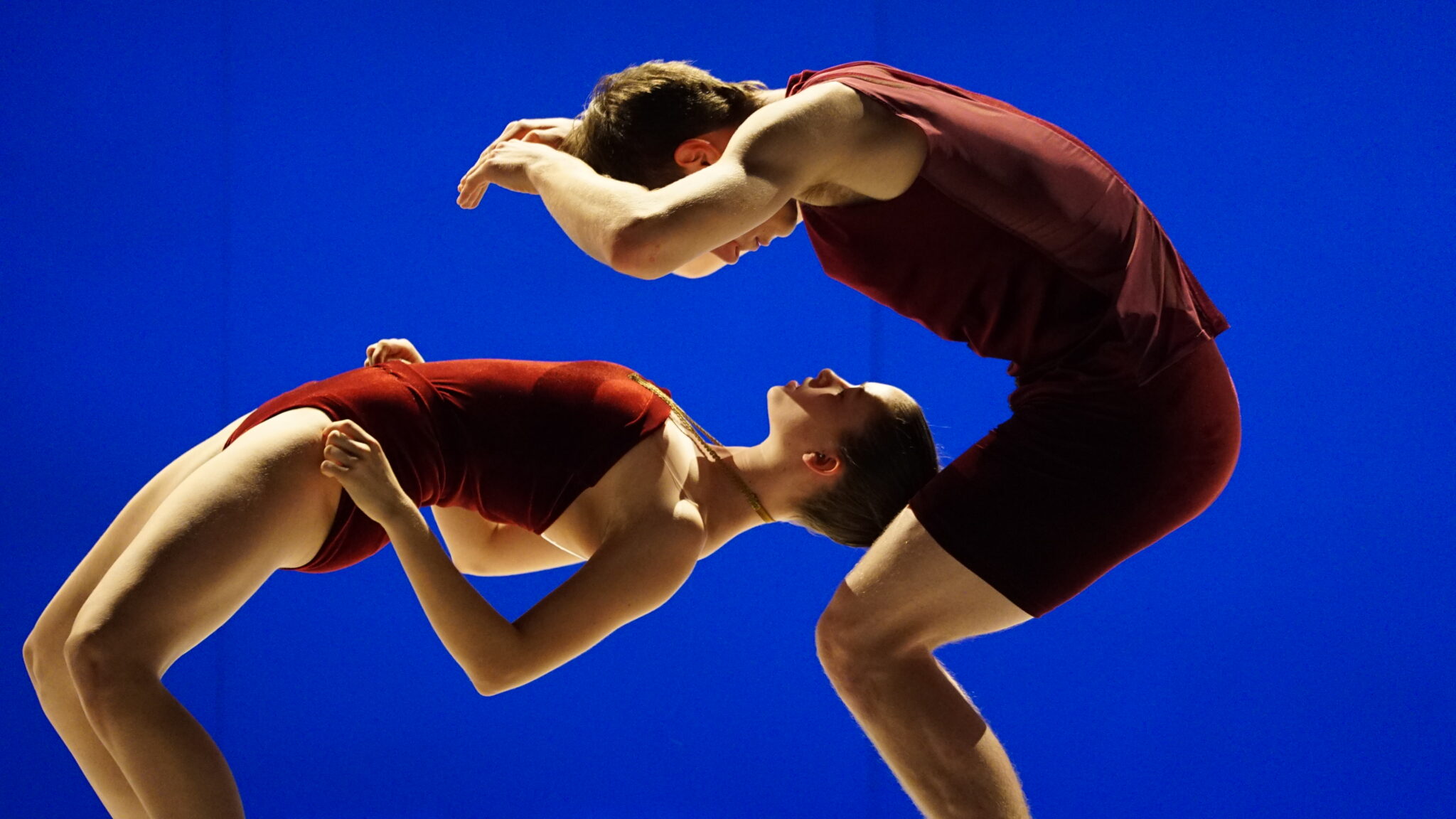 ועדיין אמליה סמית', מתן כהן - צילום: גדי דגון