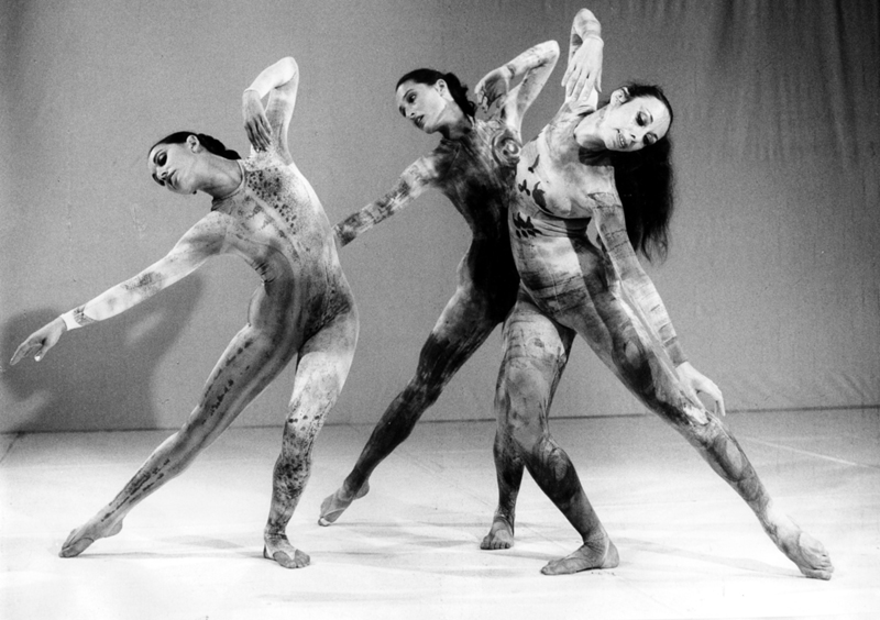 נימפאות נירה פז, נורית שטרן, שלי שיר - צילום: מולה עשת