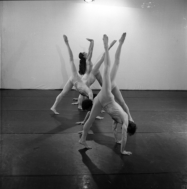 יער - צילום: מולה עשת