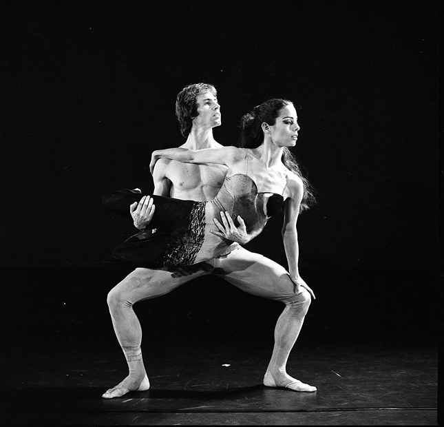 יער - צילום: מולה עשת