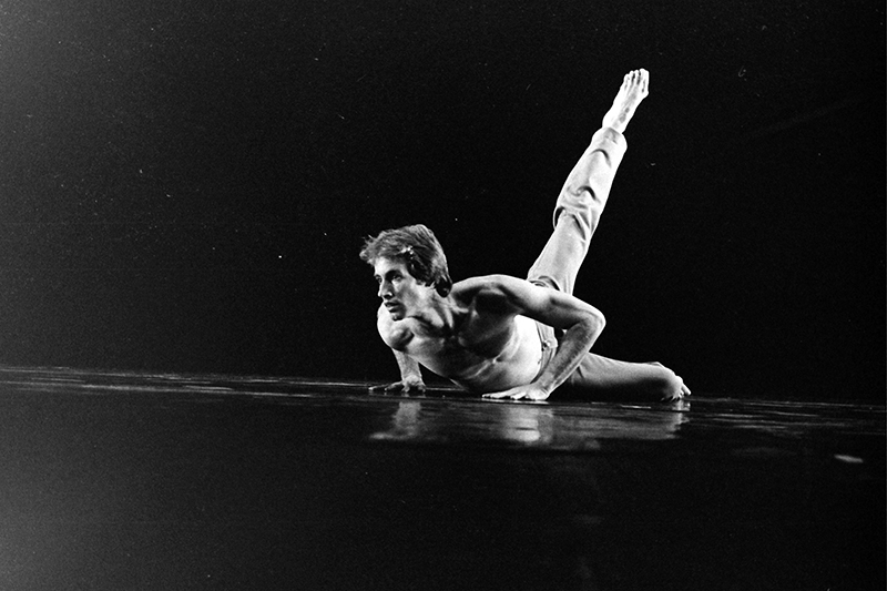 In Common David Dvir - Photo: Yoram Rubin