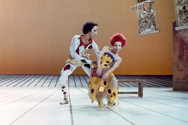 פולצ׳ינלה - צילום: יורם רובין