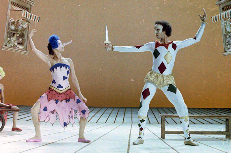 פולצ׳ינלה - צילום: יורם רובין