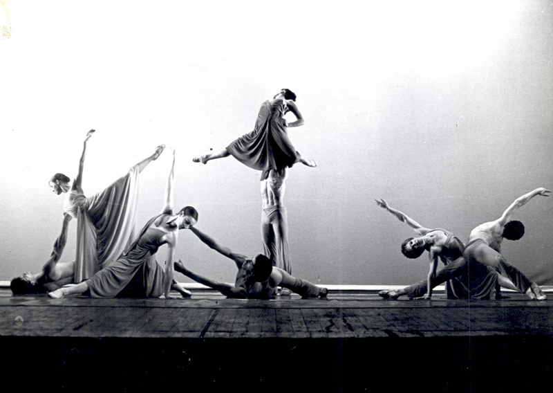 סתיו ריצ'רד אורבך, נירה טריפון, דוד דביר, שלי שיר, חיים און, איריס להד, סירו סוטארינן, רטו שלייניגר - צילום: יורם רובין