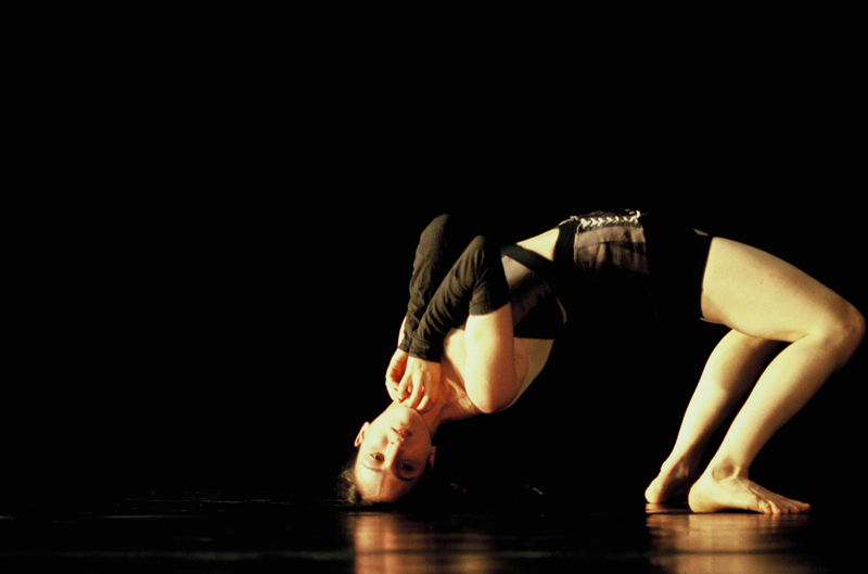 Queens of Golub Einat Niv -  Photo: Gadi Dagon