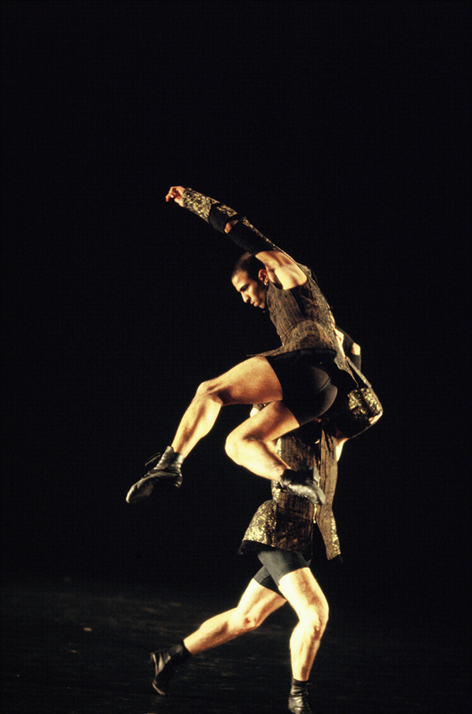 מבול -  צילום: גדי דגון