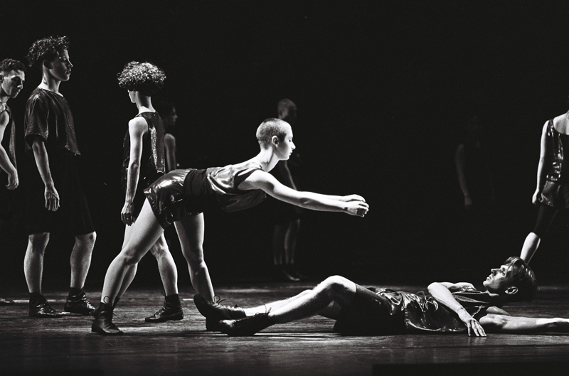 מבול -  צילום: גדי דגון