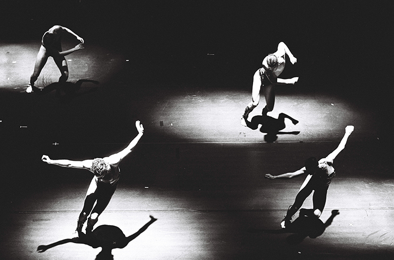 אנאפאזה -  צילום: גדי דגון