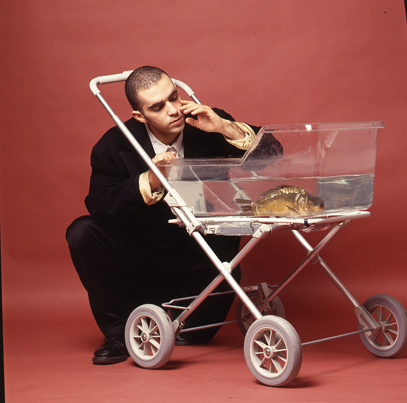 Linden Baum Shlomi Tuizer -  Photo: Gadi Dagon