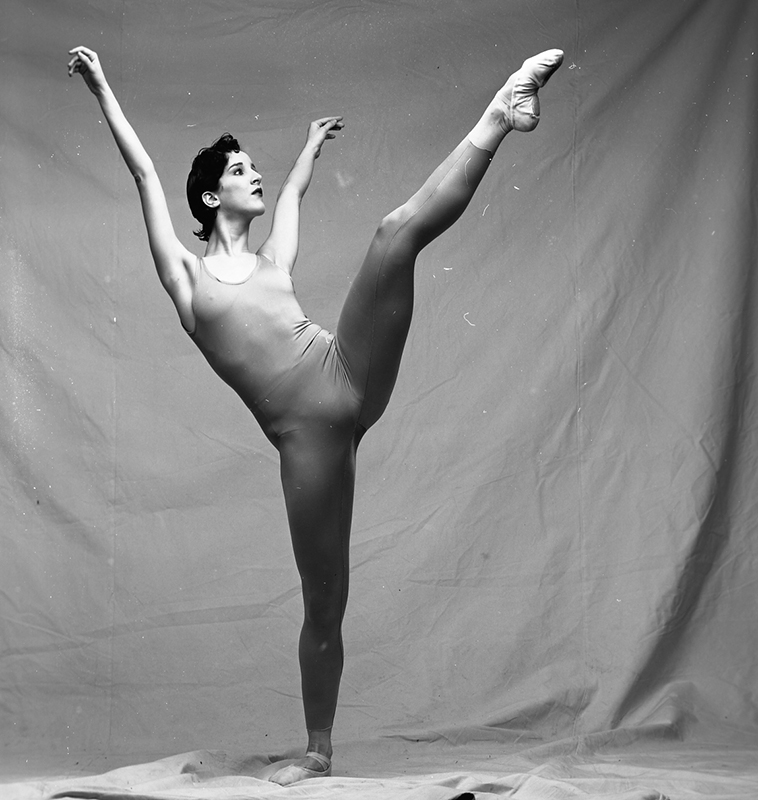 וייל פארודי עינת ניב -  צילום: גדי דגון