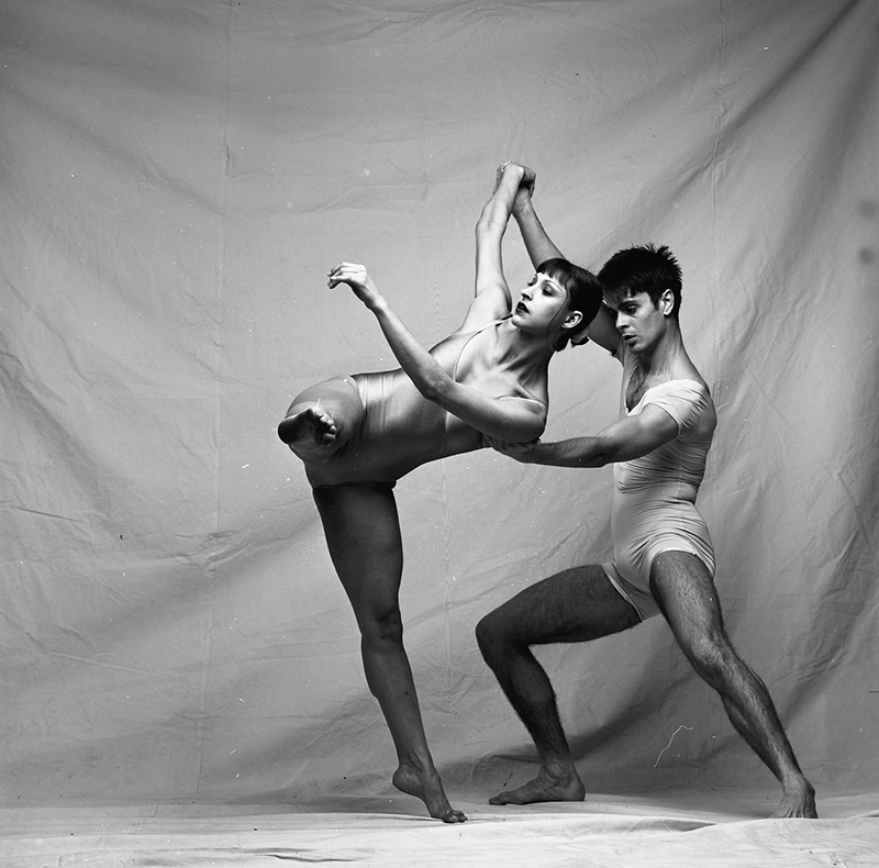 וייל פארודי דילן אלמור, סנדרה בראון -  צילום: גדי דגון