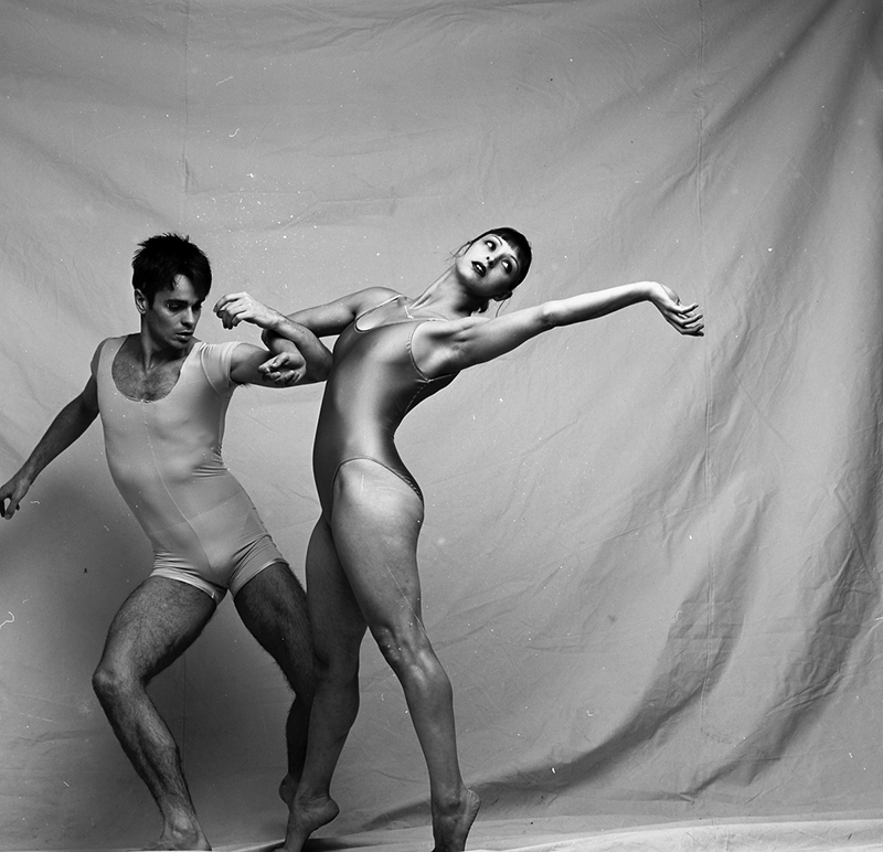 וייל פארודי סנדרה בראון, דילן אלמור -  צילום: גדי דגון