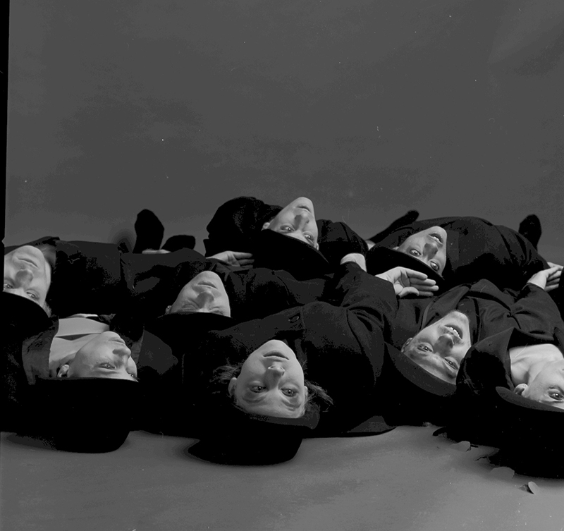 Flock -  Photo: Gadi Dagon