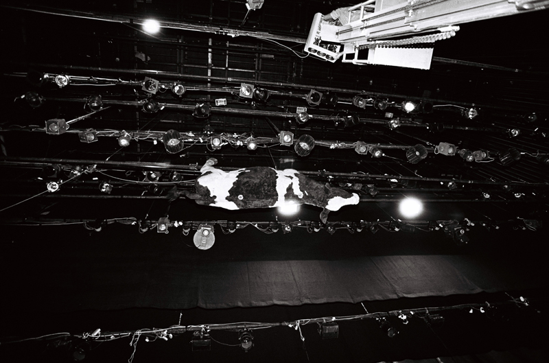 Z/na -  Photo: Gadi Dagon