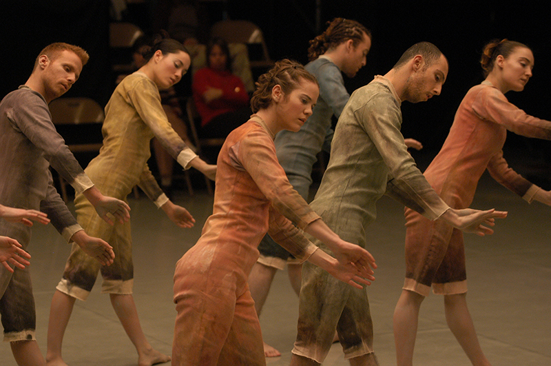 Mamootot -  Photo: Gadi Dagon