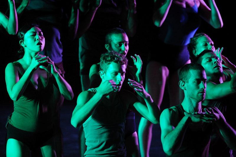 MAX -  צילום: גדי דגון