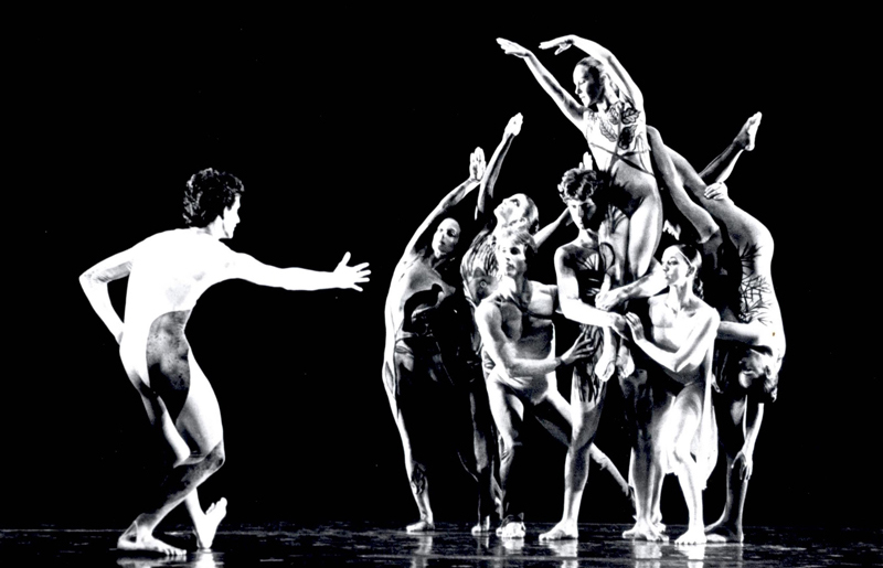 חלום בנוף פראי